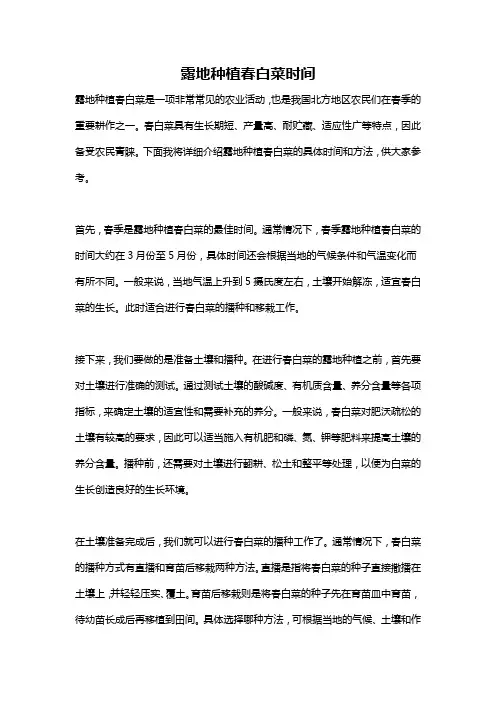 露地种植春白菜时间