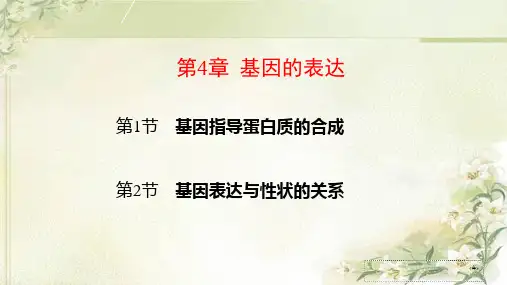 新教材人教版高中生物必修2 第4章 基因的表达 精品教学课件