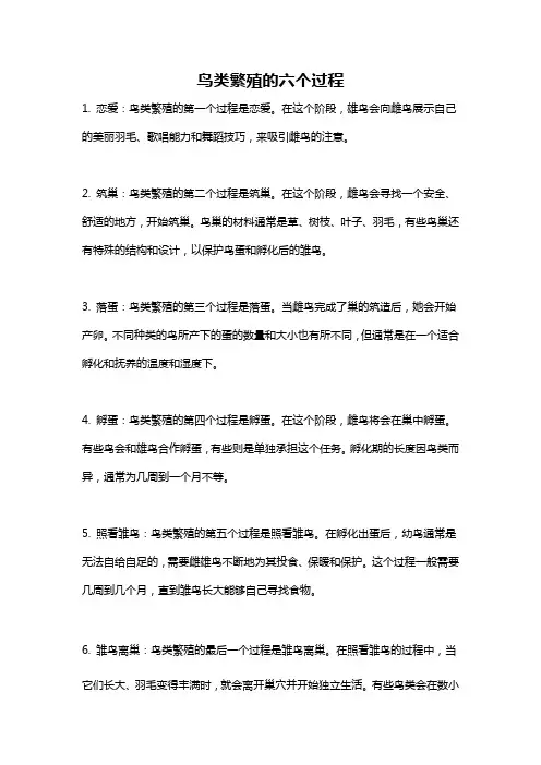鸟类繁殖的六个过程