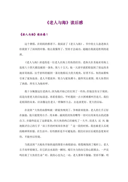 《老人与海》读后感_3