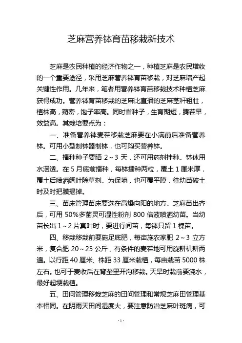 芝麻营养钵育苗移栽新技术