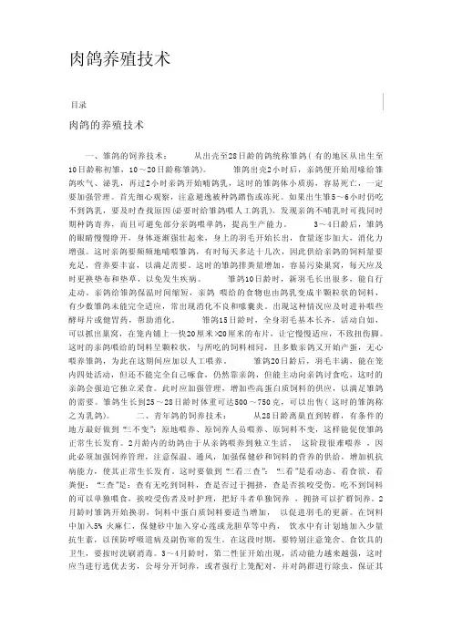 肉鸽养殖技术
