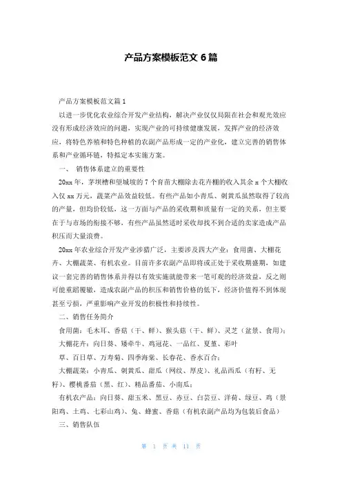 产品方案模板范文6篇
