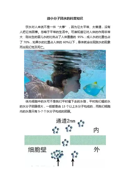 微小分子团水的科普知识
