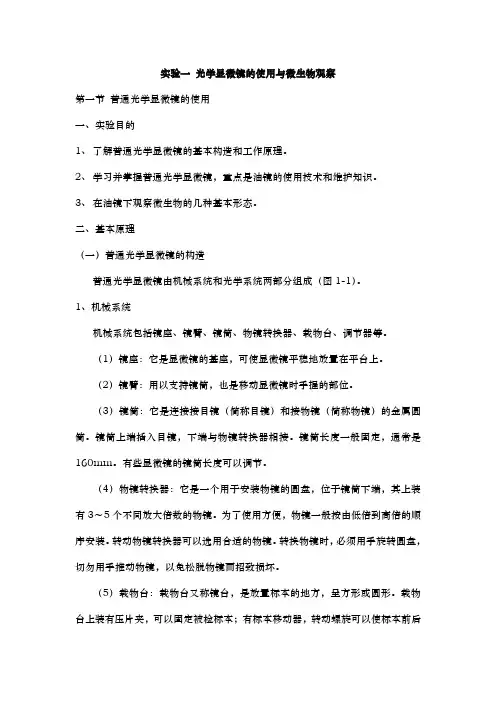 实验一-光学显微镜的使用与微生物观察
