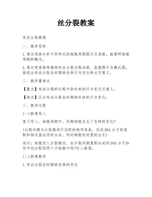 丝分裂教案