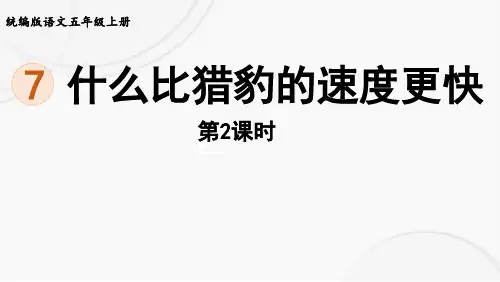 部编版五年级语文上册第7课《什么比猎豹的速度更快》课件