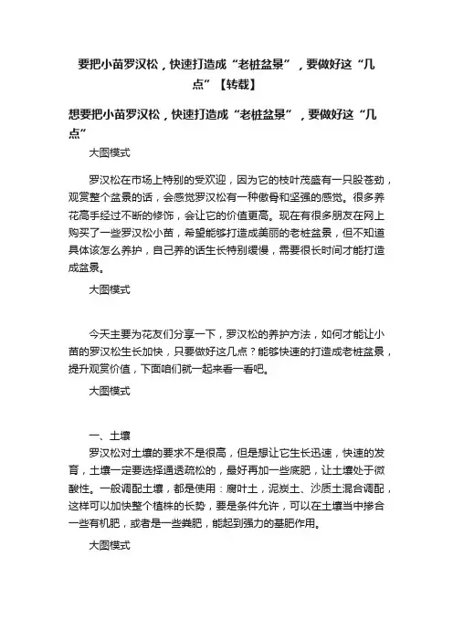 要把小苗罗汉松，快速打造成“老桩盆景”，要做好这“几点”【转载】