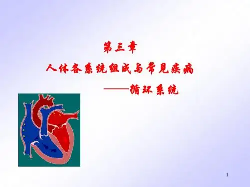 0304循环系统及其常见疾病2013版