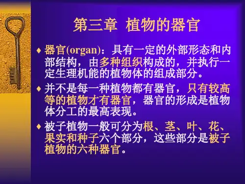 植物的器官