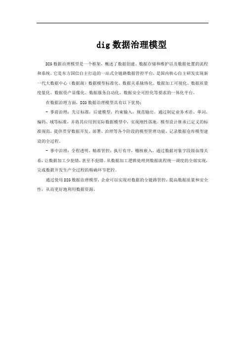 dig数据治理模型