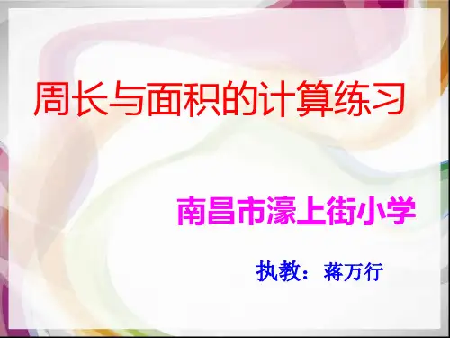 长方形和正方形周长与面积的计算练习【精选】