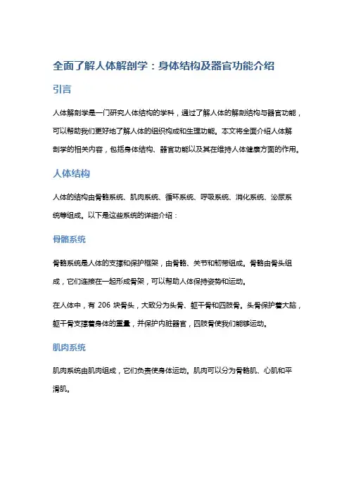 全面了解人体解剖学：身体结构及器官功能介绍