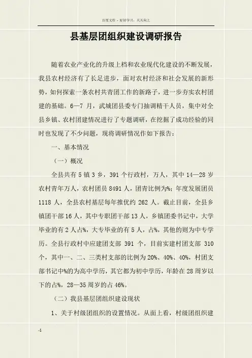 县基层团组织建设调研报告