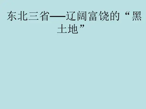 晋教地理八年级下册第六章1 东北三省──辽阔富饶的“黑土地”(共19张PPT)