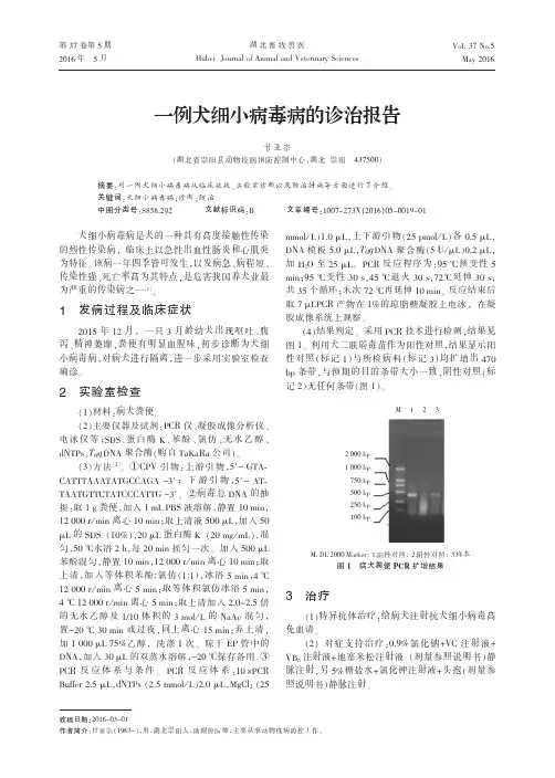 一例犬细小病毒病的诊治报告