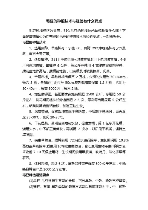 毛豆的种植技术与经验有什么要点