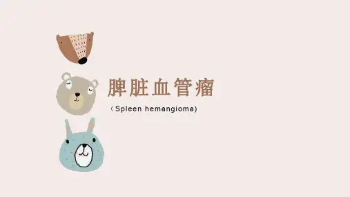 脾脏血管瘤的影像表现