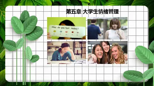大学生心理健康教育 第五章 大学生情绪管理