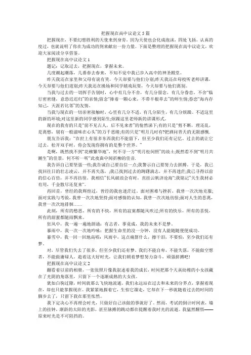 把握现在高中议论文5篇