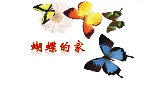 《蝴蝶的家》ppt课件