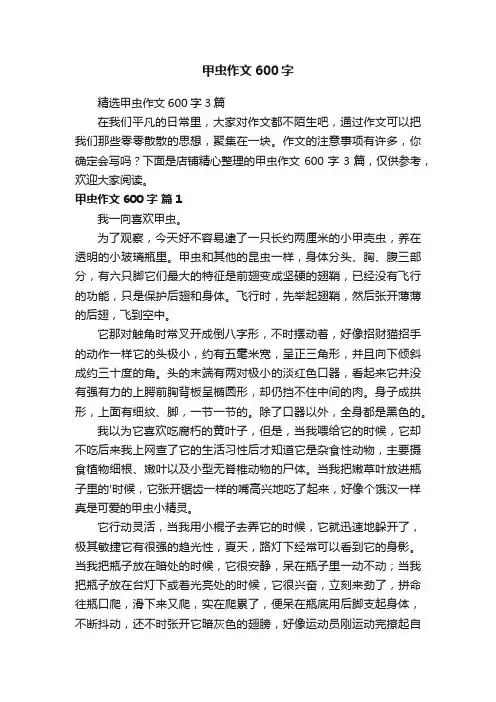 甲虫作文600字