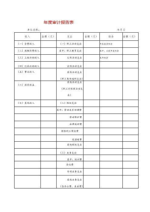 年度审计报告表模板