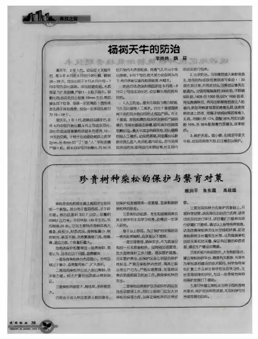 杨树天牛的防治