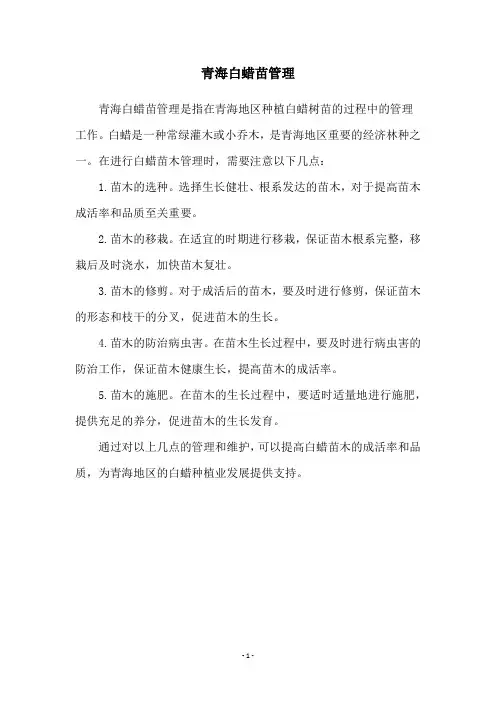 青海白蜡苗管理