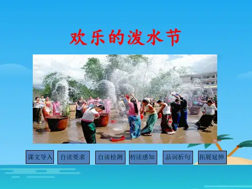 《欢乐的泼水节》PPT[优秀课件资料]