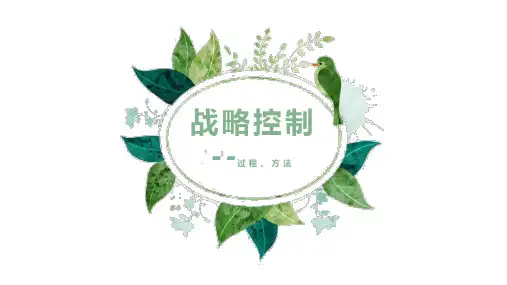 战略控制过程与方法