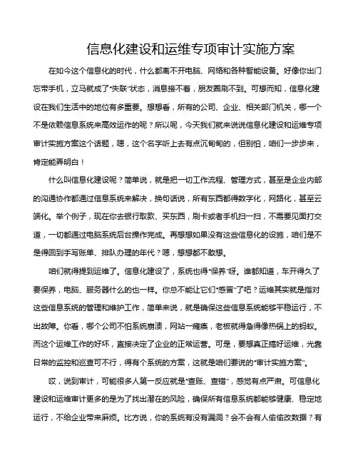 信息化建设和运维专项审计实施方案