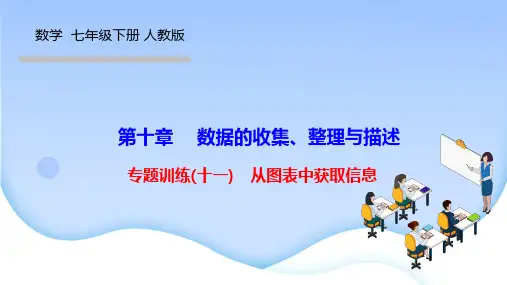 人教版七年级数学下册精品作业课件 第十章 数据的收集、整理与描述 专题训练(十一) 从图表中获取信息