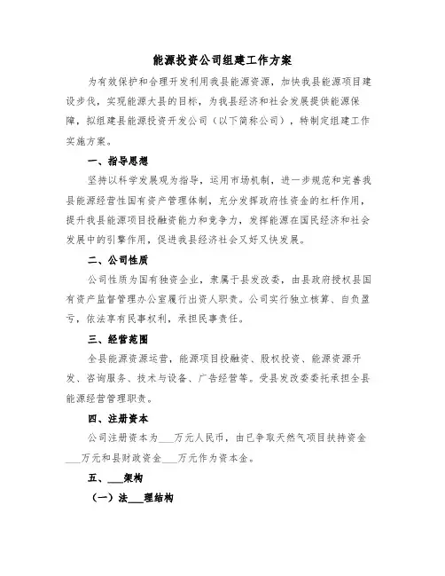 能源投资公司组建工作方案(3篇)