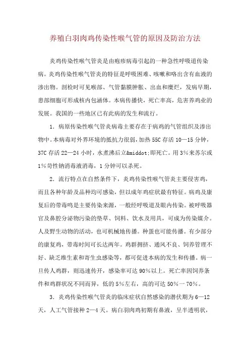 养殖白羽肉鸡传染性喉气管的原因及防治方法