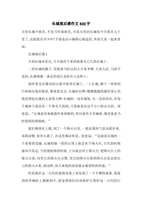 最新长城观后感作文600字