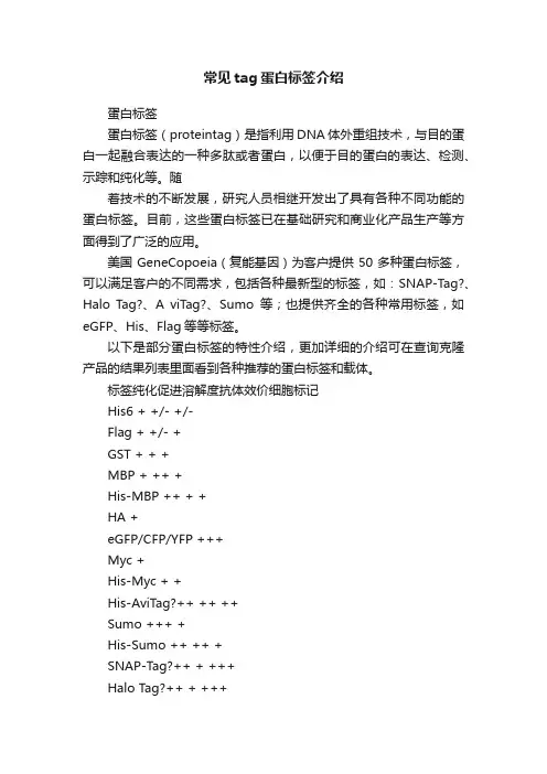 常见tag蛋白标签介绍