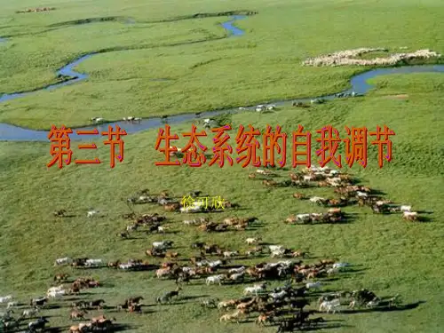 生物——生态系统的自我调节