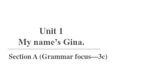 人教版英语七年级上册 Unit 1 Section A (Grammar Focus—3c)