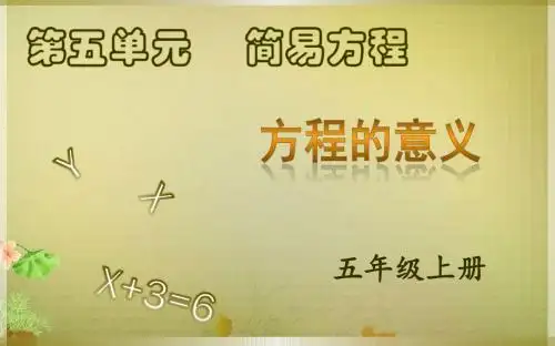 方程的意义 PPT课件