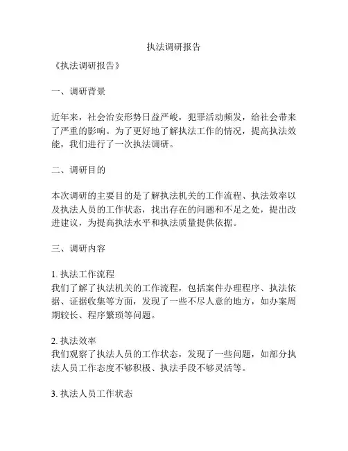 执法调研报告