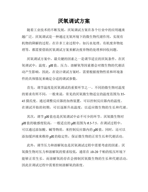 厌氧调试方案