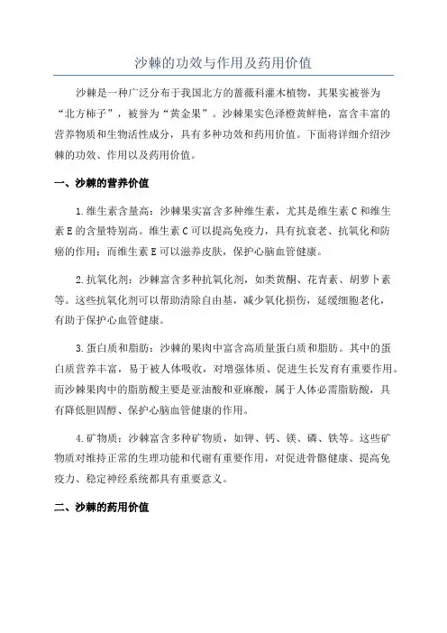 沙棘的功效与作用及药用价值