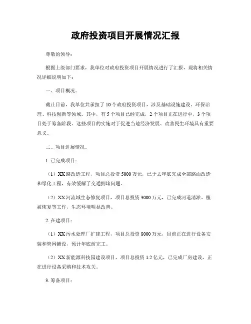 政府投资项目开展情况汇报
