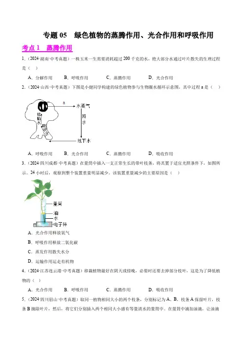 专题05  绿色植物的蒸腾作用、光合作用和呼吸作用(原卷版+答案解析版)