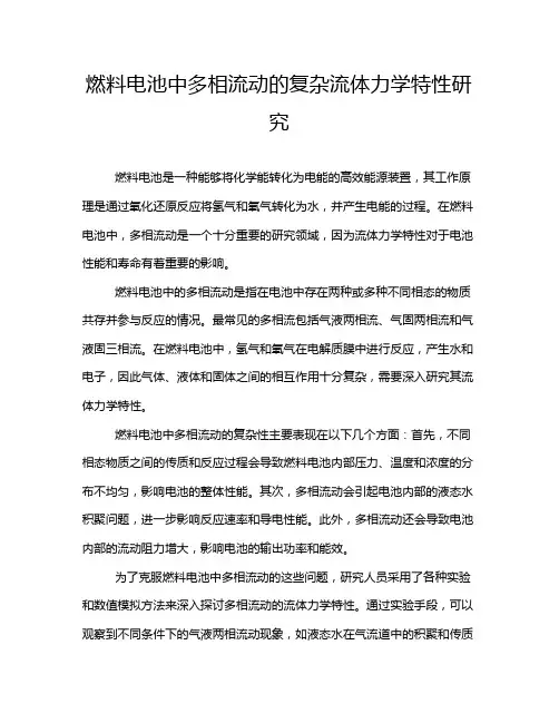 燃料电池中多相流动的复杂流体力学特性研究