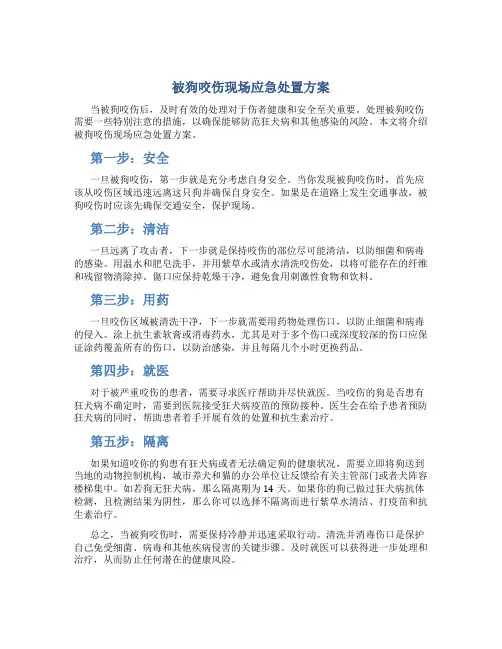 被狗咬伤现场应急处置方案
