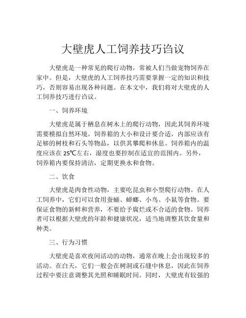 大壁虎人工饲养技巧诌议