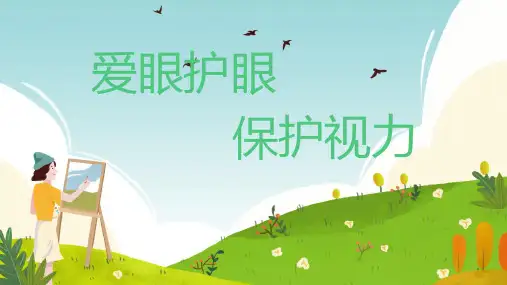 爱眼护眼保护视力ppt课件