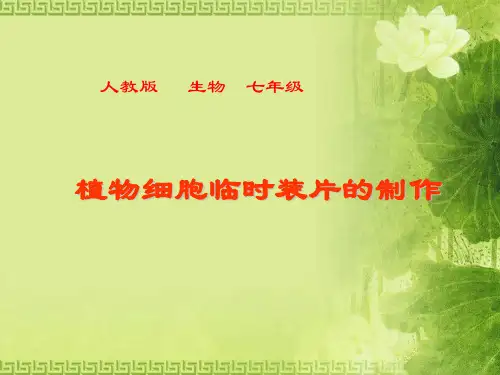 植物细胞临时装片的制作ppt课件